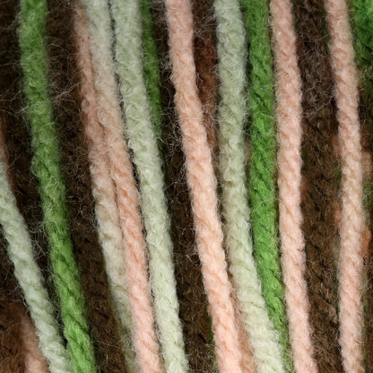 Bernat Super Value Variegates Yarn - Discontinued Shades Hiking Ombre