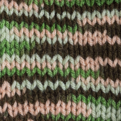 Bernat Super Value Variegates Yarn - Discontinued Shades Hiking Ombre