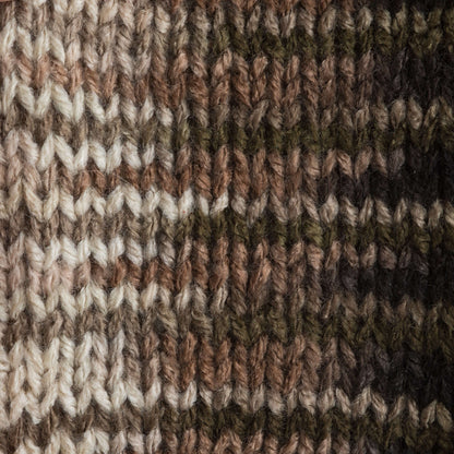 Bernat Super Value Variegates Yarn - Discontinued Shades Outback Ombre
