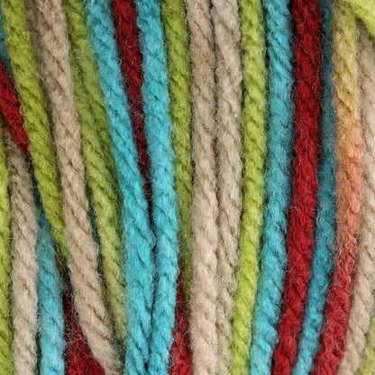 Bernat Super Value Variegates Yarn - Discontinued Shades Techno Ombre