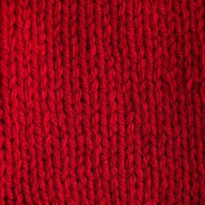 Bernat Premium Yarn Red