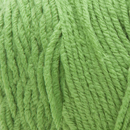 Bernat Premium Yarn Spring Green
