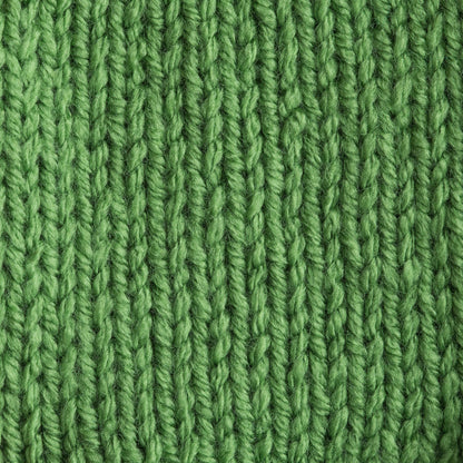 Bernat Premium Yarn Spring Green