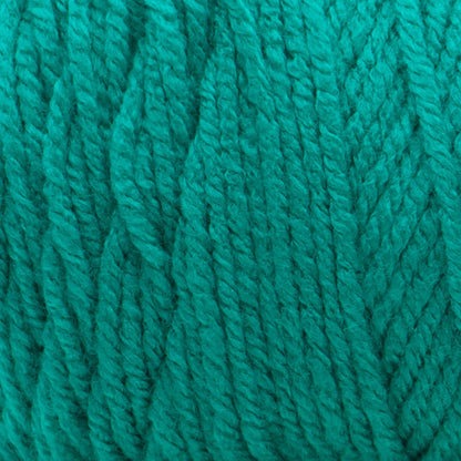 Bernat Premium Yarn Green