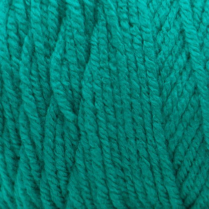 Bernat Premium Yarn Green