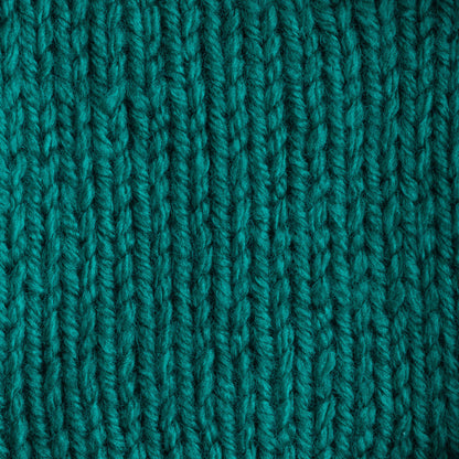 Bernat Premium Yarn Green