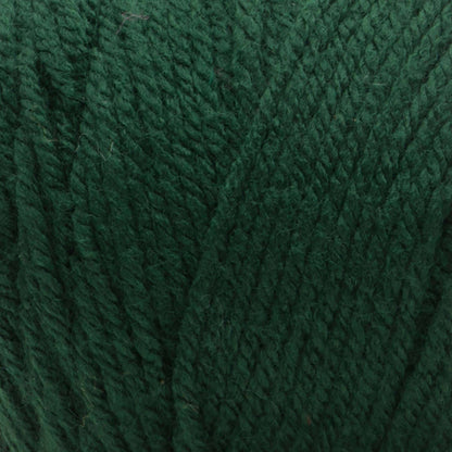 Bernat Premium Yarn Evergreen