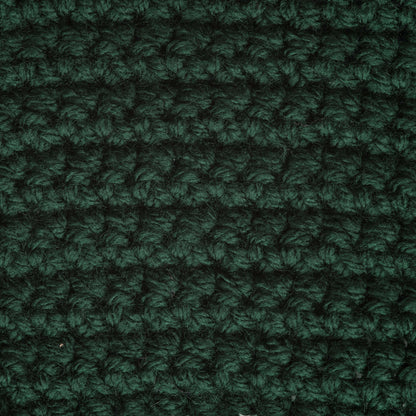 Bernat Premium Yarn Evergreen