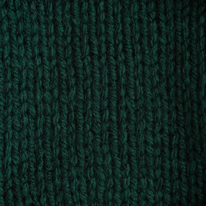 Bernat Premium Yarn Evergreen