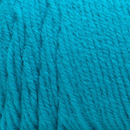 Bernat Premium Yarn Teal