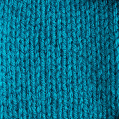 Bernat Premium Yarn Teal