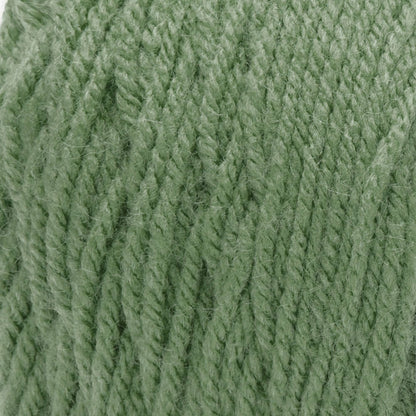 Bernat Premium Yarn Pine