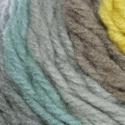 Bernat Pop! Yarn - Discontinued Shades Radical Botanical
