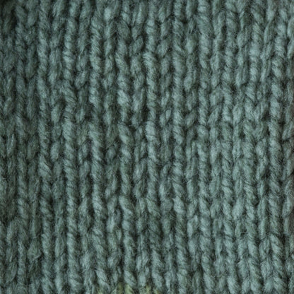 Bernat Pop! Yarn - Discontinued Shades Radical Botanical