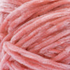 Peach Blossom