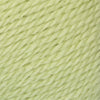Soft Fern