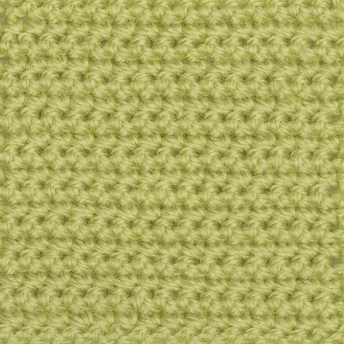 Soft Fern