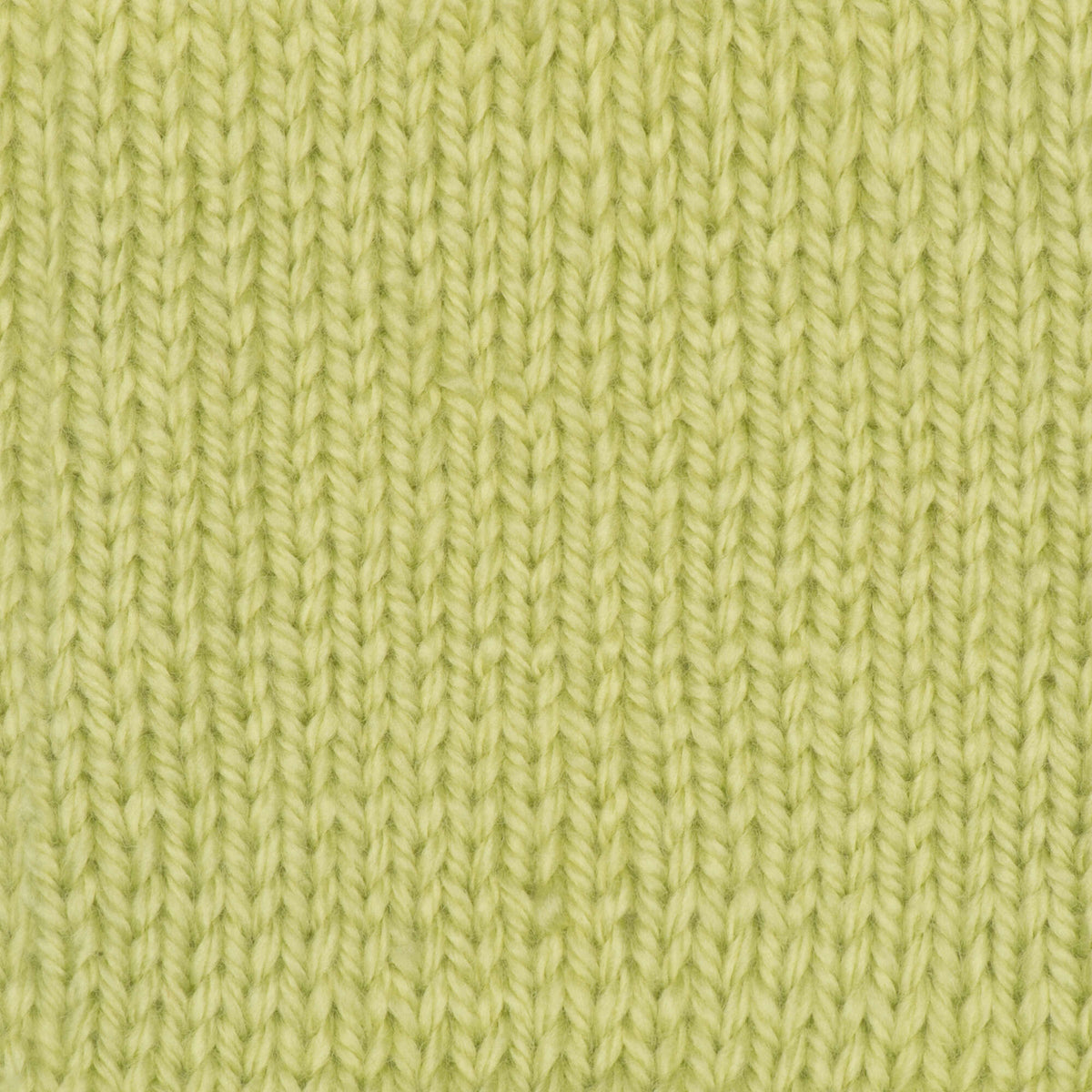Soft Fern