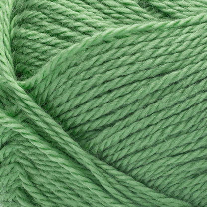 Bernat Softee Baby Yarn Green