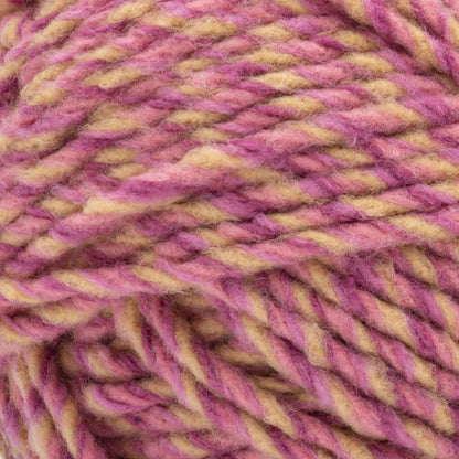 Bernat Forever Fleece Yarn Dancing Queen