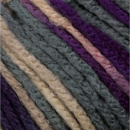 Phentex Worsted Ombre Yarn - Discontinued Shades Intrigue Ombre