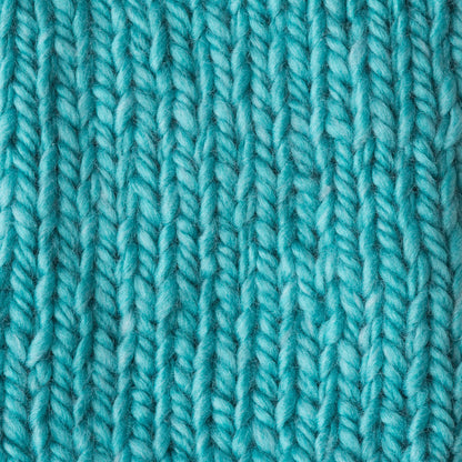 Patons Beehive Baby Chunky Yarn - Discontinued Shades Swifter Sea