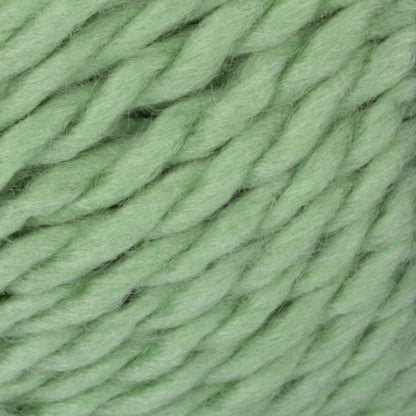 Patons Beehive Baby Chunky Yarn - Discontinued Shades Quicker Clover