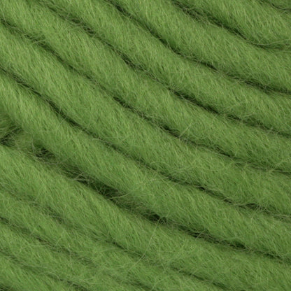 Patons Classic Wool Roving Yarn - Discontinued Shades Cloverleaf