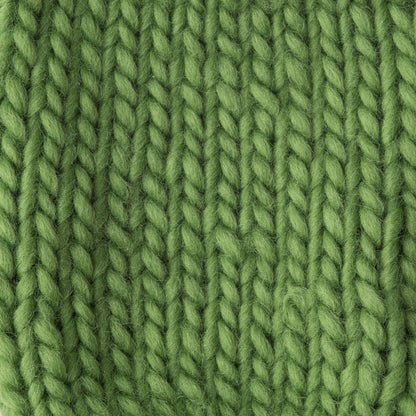 Patons Classic Wool Roving Yarn - Discontinued Shades Cloverleaf