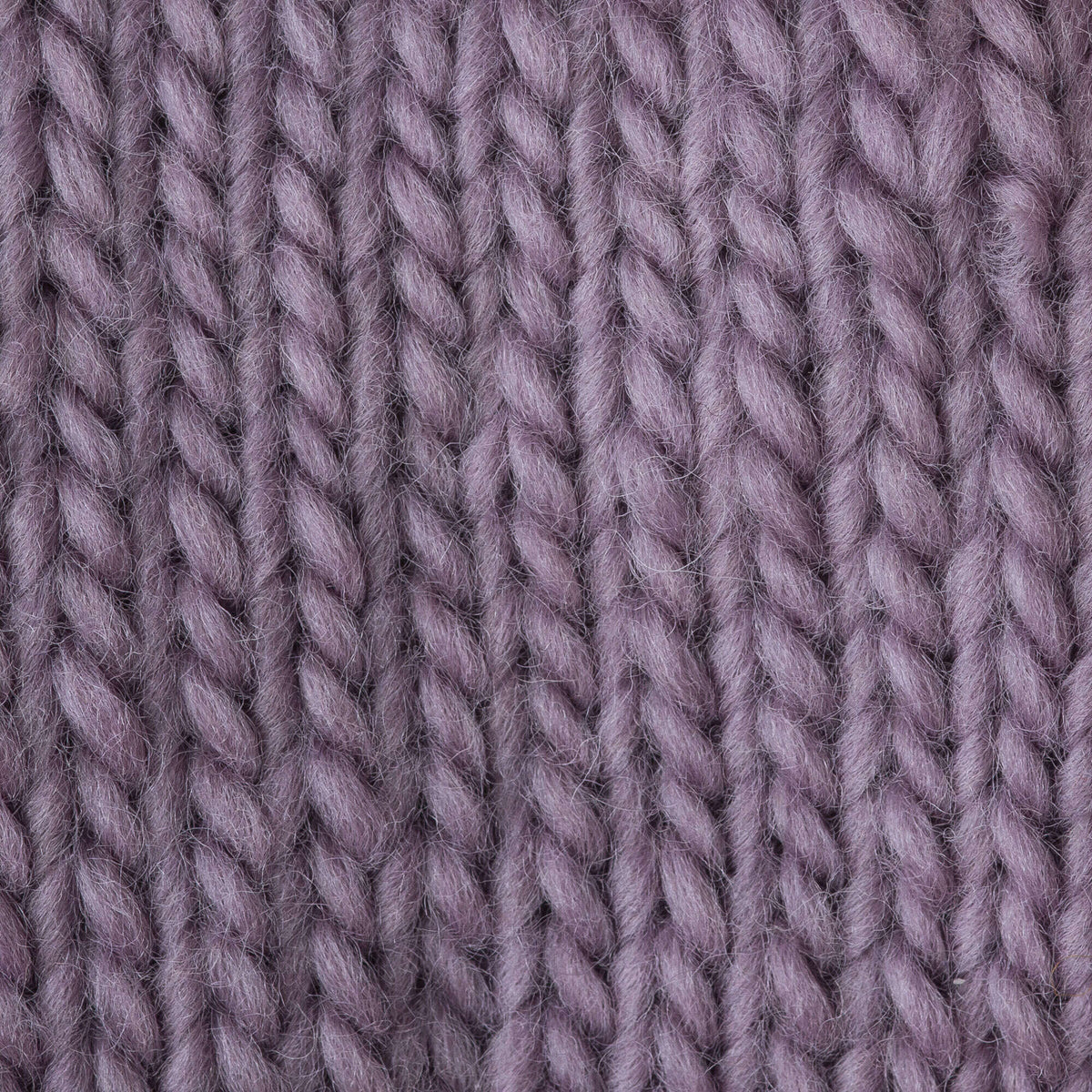 Frosted Plum