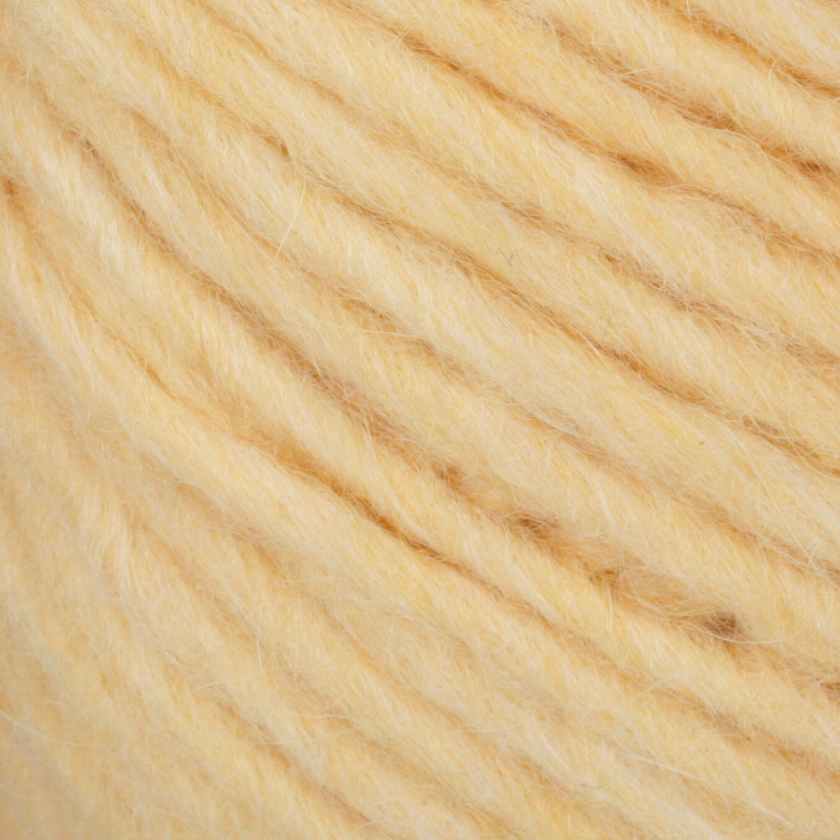 Maize