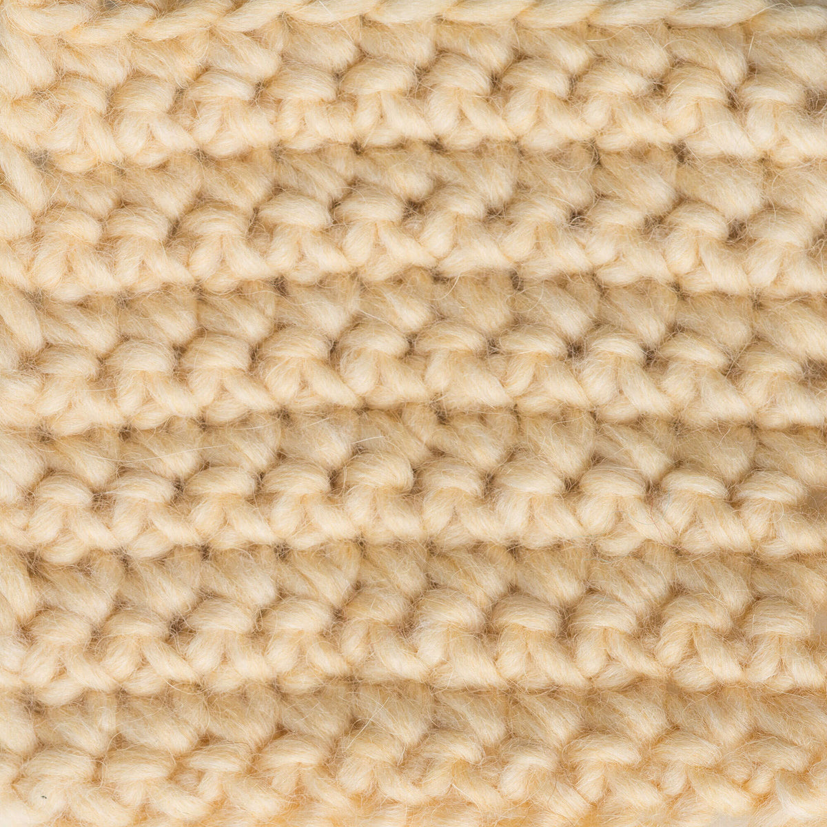 Maize