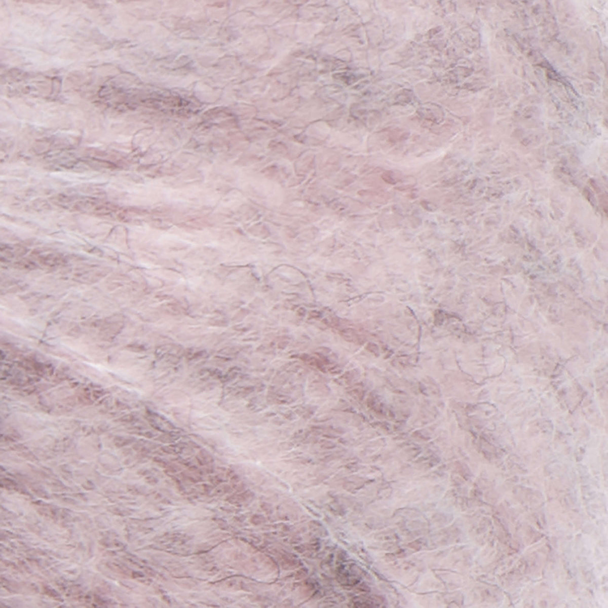 Tawny Coral