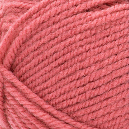 Patons Inspired Yarn Raspberry