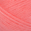 Calypso Coral