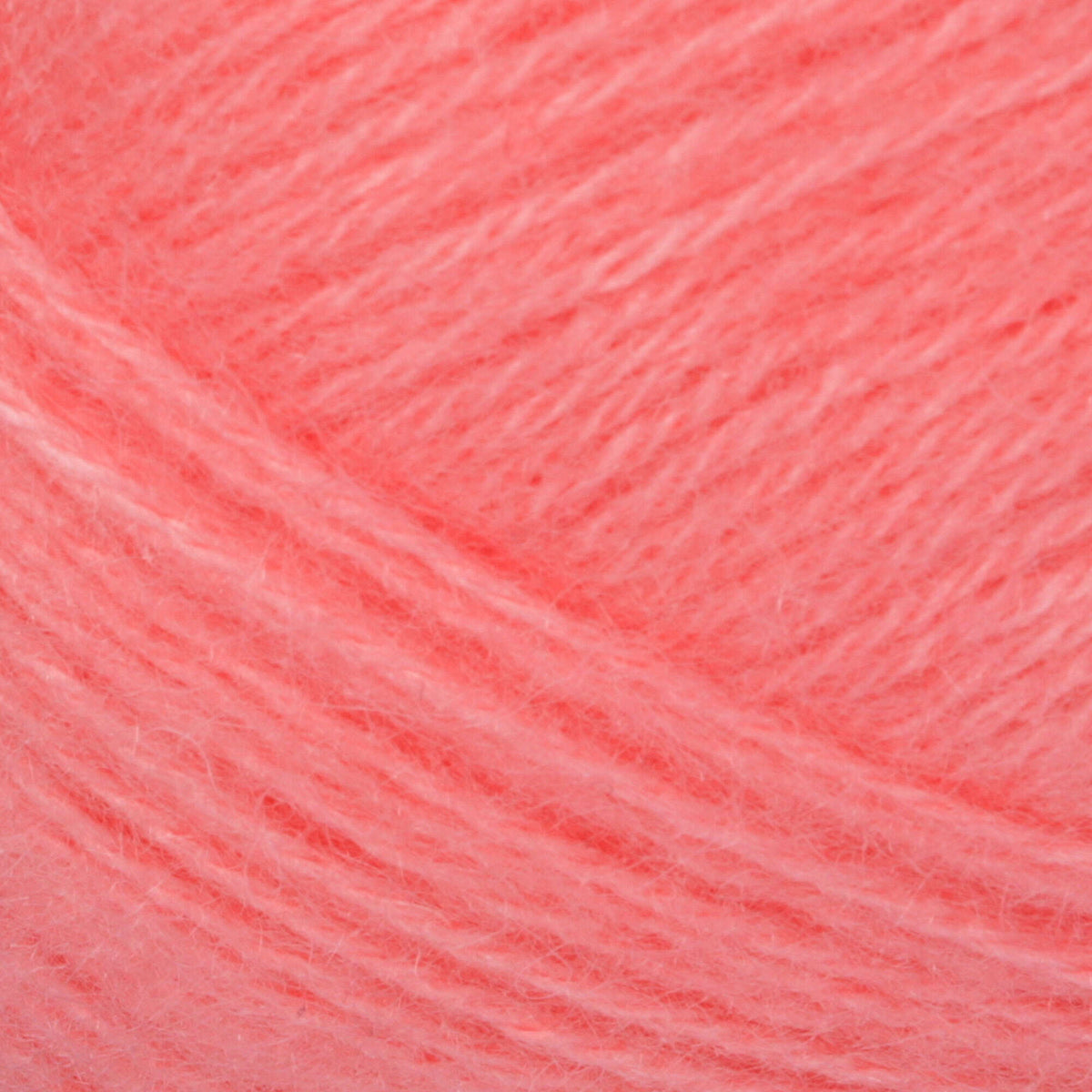 Calypso Coral