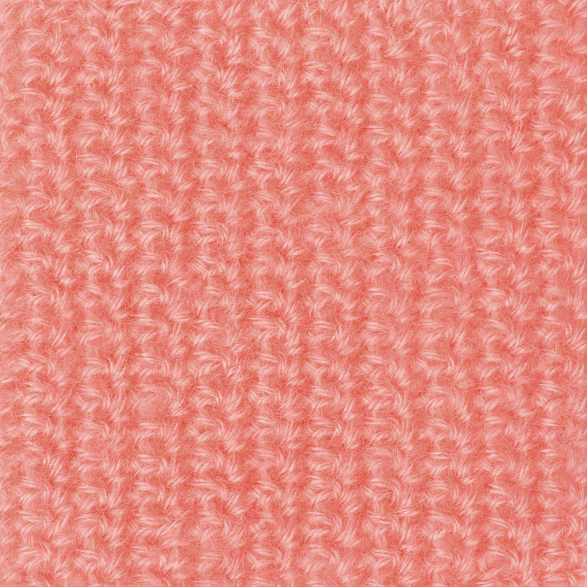 Calypso Coral