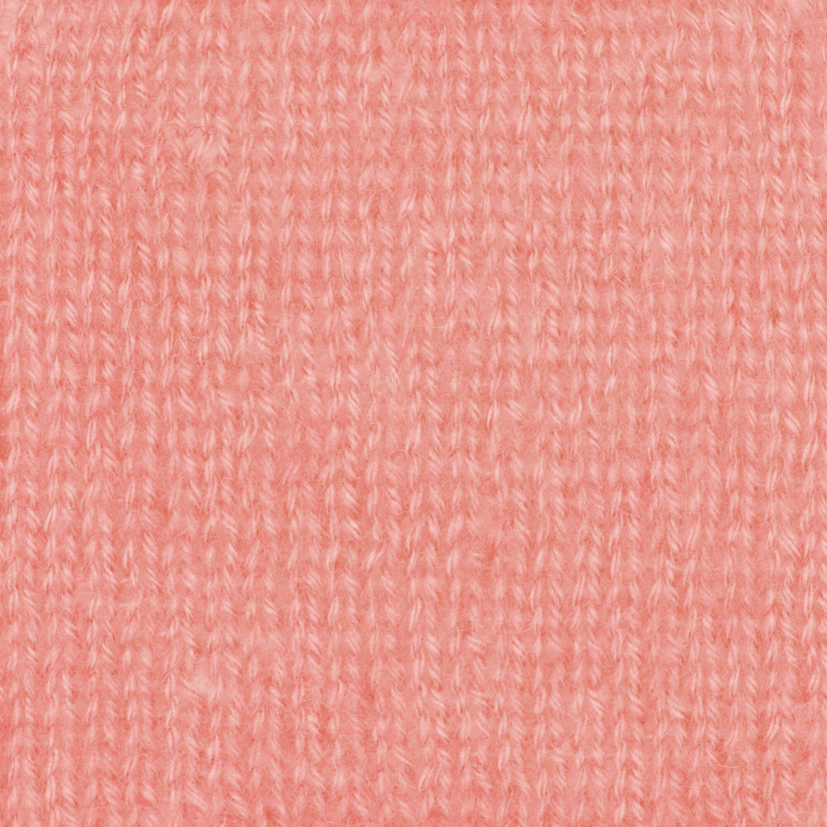 Calypso Coral