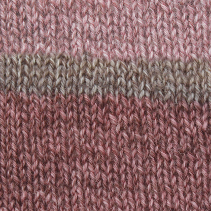 Patons Kroy Socks Yarn Brown Rose Marl