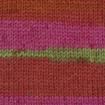 Patons Kroy Socks Yarn Dad's Jacquard
