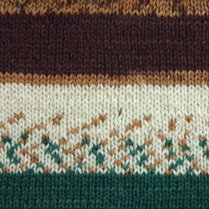 Patons Kroy Socks Yarn Woodsie