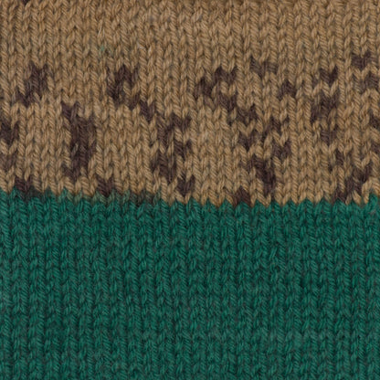 Patons Kroy Socks Yarn Woodsie
