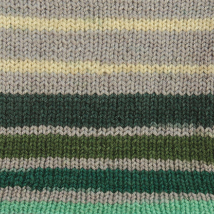 Patons Kroy Socks Yarn Landscape Stripes