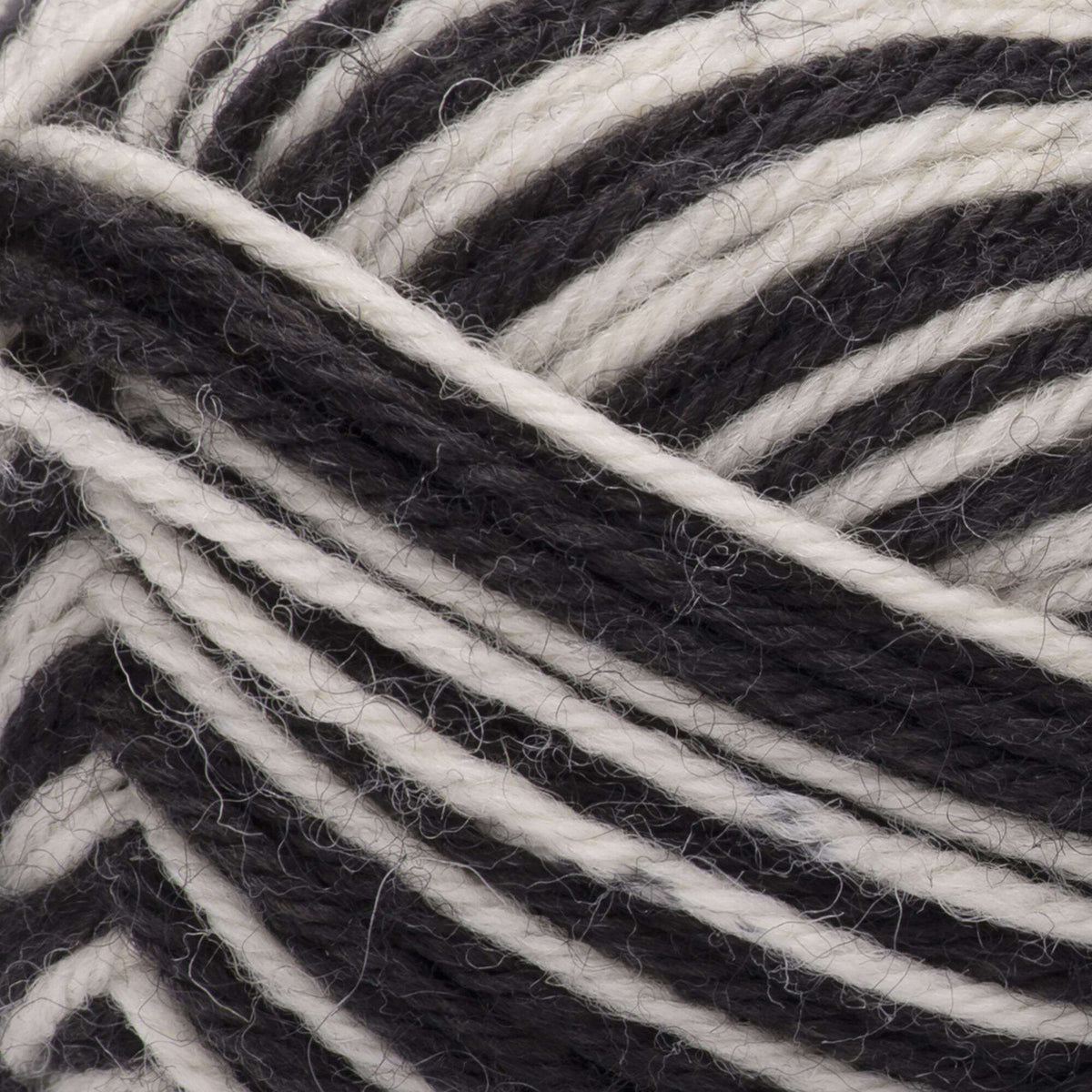 Zebra Stripes