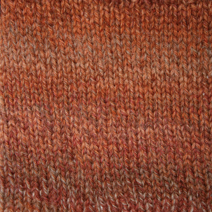 Patons Kroy Socks FX Yarn Copper Colors