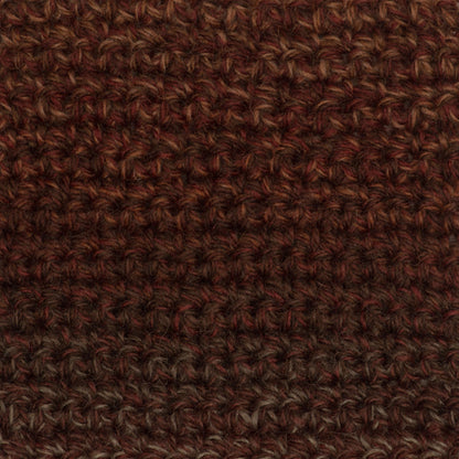Patons Kroy Socks FX Yarn Copper Colors