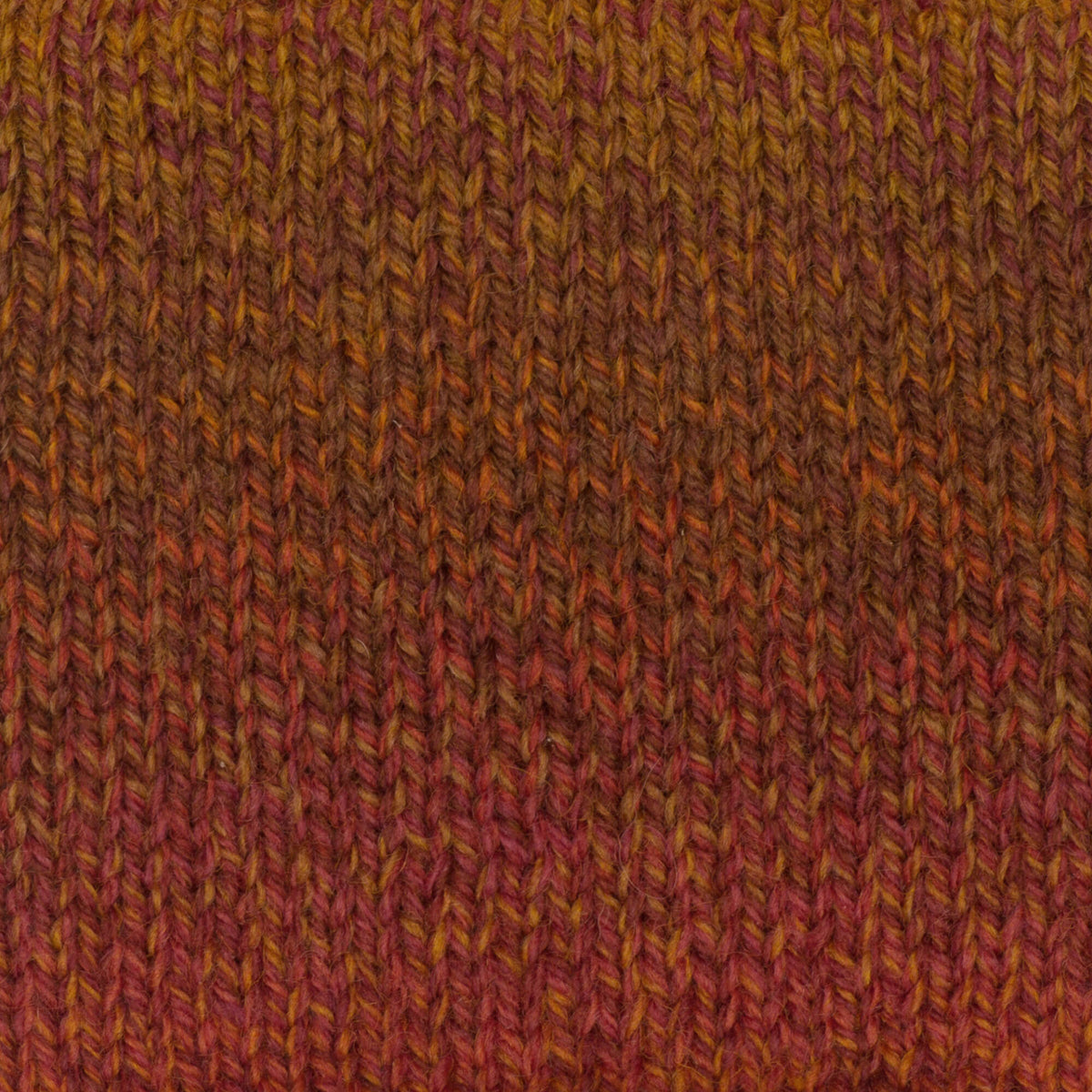 Canyon Colors