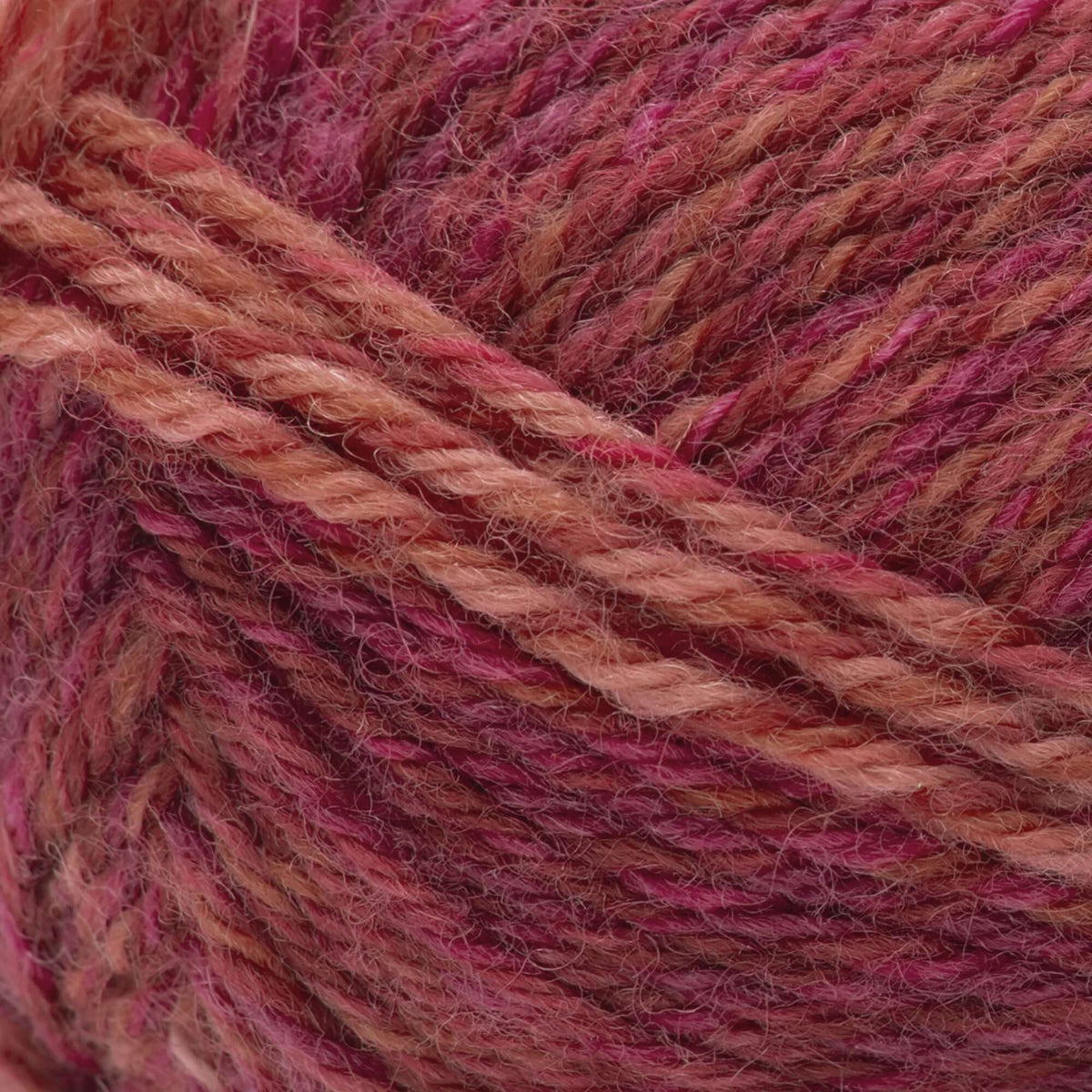 Geranium Colors