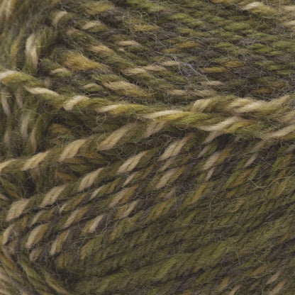 Patons Kroy Socks FX Yarn Mossy Colors