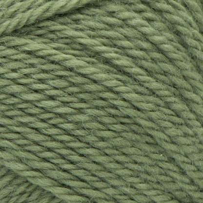 Patons Classic Wool Worsted Yarn Meadow